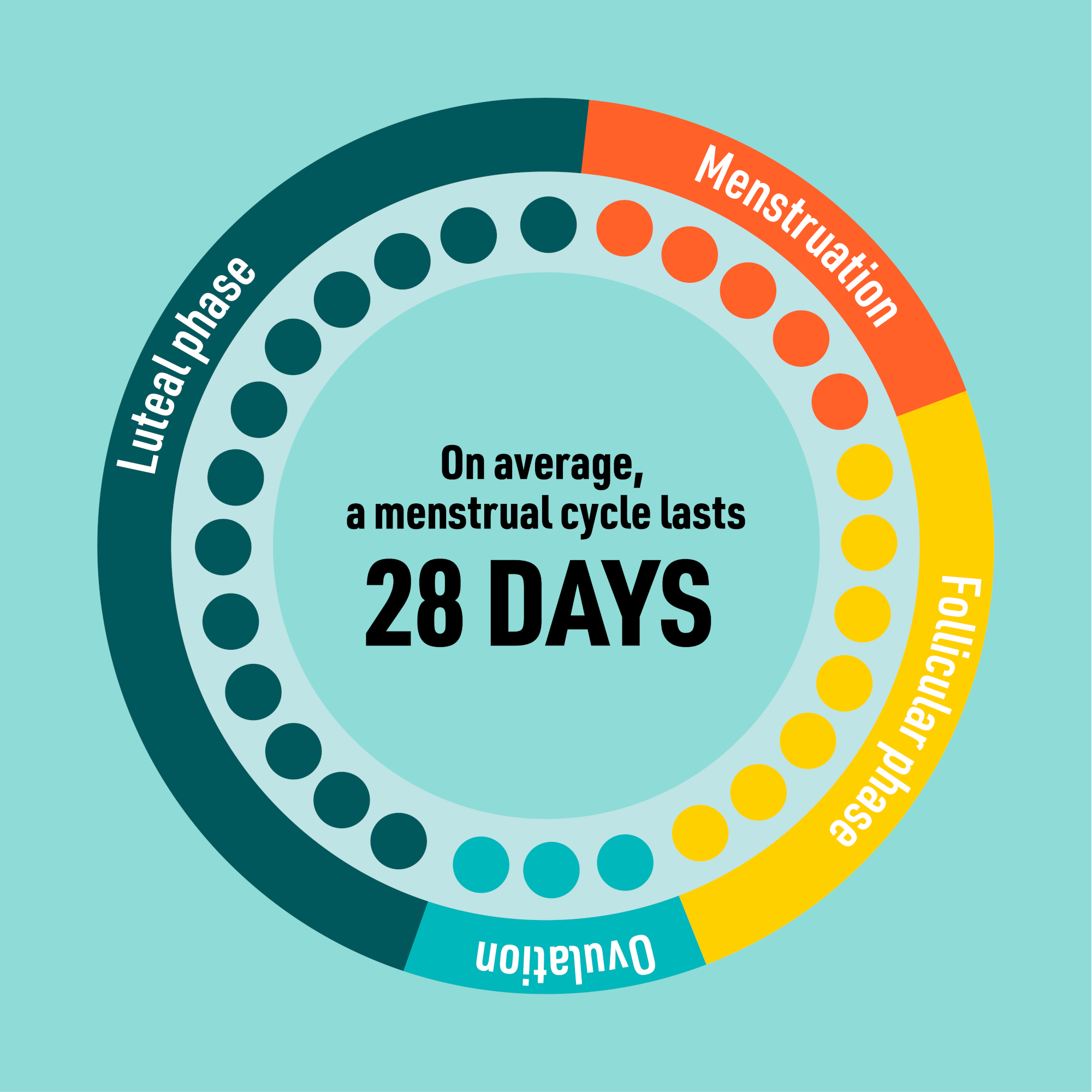 How Does The Menstrual Cycle Impact Exercise Nutrition PureGym